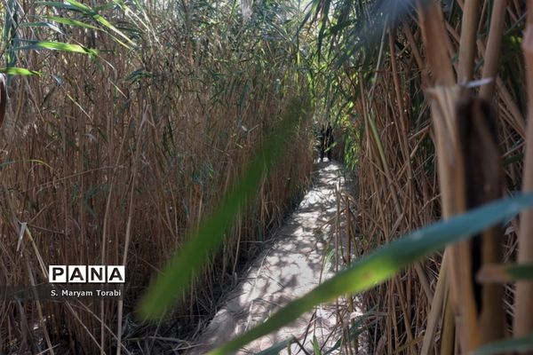 میزبانی شهدا در یادمان علقمه خرمشهر و قدمگاه شهدای غواص از نومعلمان فارس