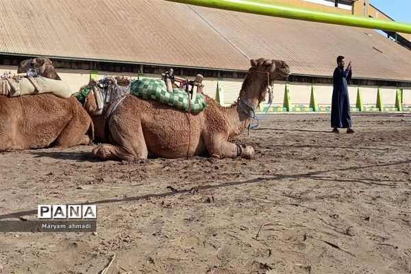 سومین جشنواره شکرستان