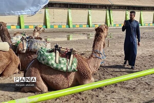 سومین جشنواره شکرستان