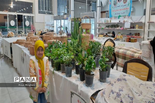 افتتاح نمایشگاه اقتصاد مقاومتی در بافق