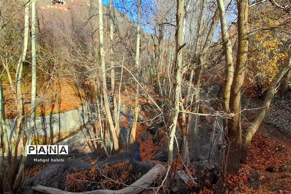 زیبایی روستای دهبار طرقبه در فصل پاییز