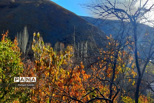 زیبایی روستای دهبار طرقبه در فصل پاییز