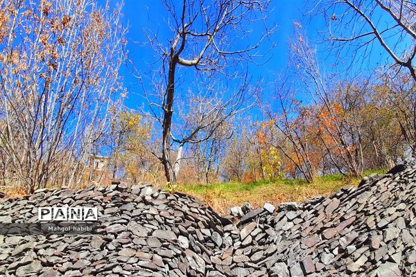 زیبایی روستای دهبار طرقبه در فصل پاییز