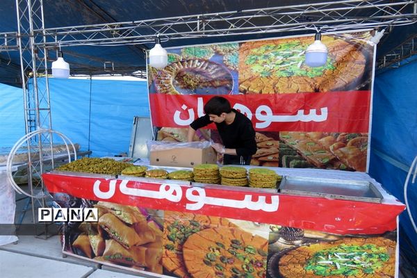 نمایشگاه کار آفرینی صنایع دستی و مشاغل خانگی در میاندورود