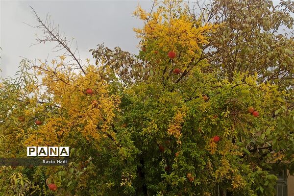 پاییز در شهر سورمق