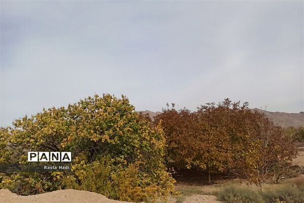 پاییز در شهر سورمق