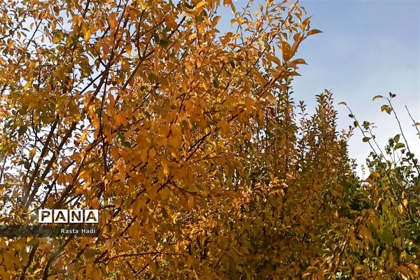 پاییز در شهر سورمق