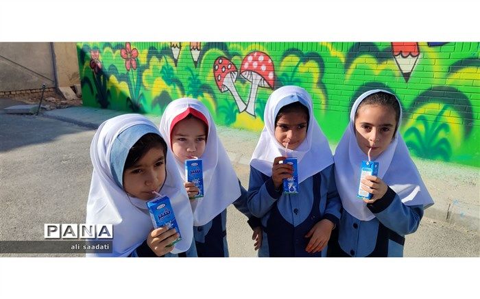 آغاز توزیع شیر رایگان در مدارس ابتدایی ‌کلات‌