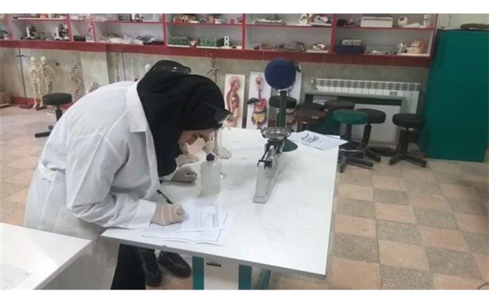 درخشش دانش‌آموزان اردبیلی در مرحله کشوری جشنواره نوجوان خوارزمی