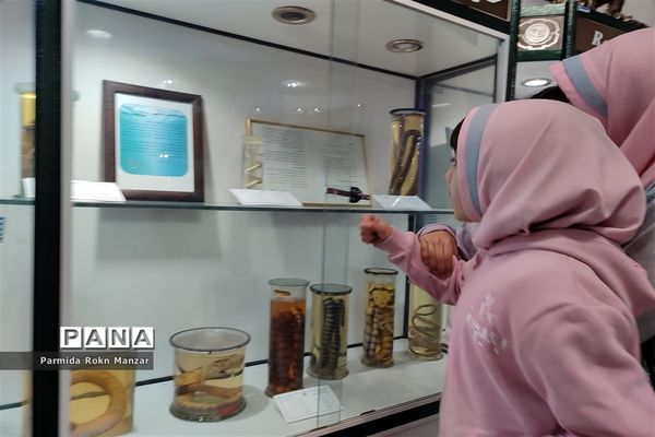 بازدید علمی دانش‌آموزان دبستان شاهد فاطمه الزهرا(س)ازموزه تاریخ طبیعی و تکنولوژی دانشگاه شیراز