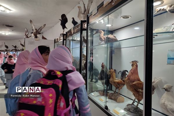 بازدید علمی دانش‌آموزان دبستان شاهد فاطمه الزهرا(س)ازموزه تاریخ طبیعی و تکنولوژی دانشگاه شیراز