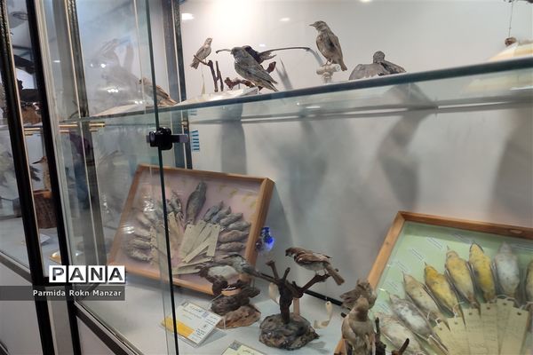 بازدید علمی دانش‌آموزان دبستان شاهد فاطمه الزهرا(س)ازموزه تاریخ طبیعی و تکنولوژی دانشگاه شیراز