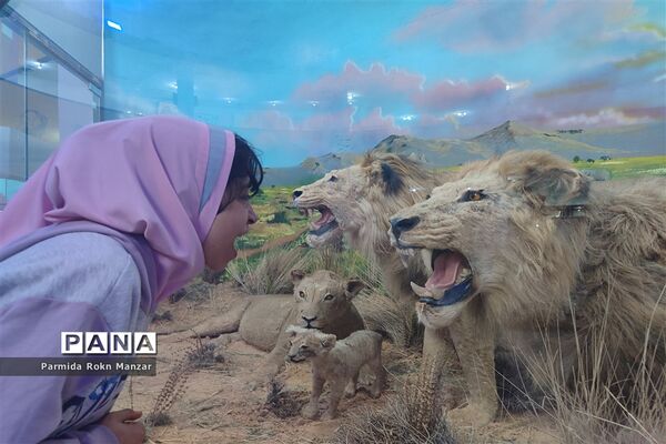 بازدید علمی دانش‌آموزان دبستان شاهد فاطمه الزهرا(س)ازموزه تاریخ طبیعی و تکنولوژی دانشگاه شیراز
