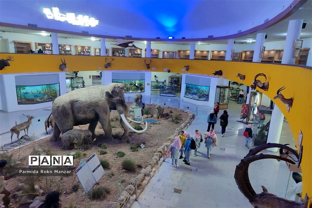 بازدید علمی دانش‌آموزان دبستان شاهد فاطمه الزهرا(س)ازموزه تاریخ طبیعی و تکنولوژی دانشگاه شیراز