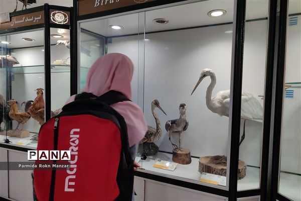 بازدید علمی دانش‌آموزان دبستان شاهد فاطمه الزهرا(س)ازموزه تاریخ طبیعی و تکنولوژی دانشگاه شیراز