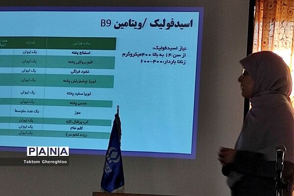 برگزاری کارگاه آموزشی طرح آهن‌یاری در آموزش و پرورش ناحیه یک شهرری