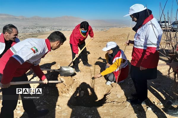 آغاز طرح مردمی کاشت یک میلیارد درخت درسراسر کشور درشهرستان سملقان