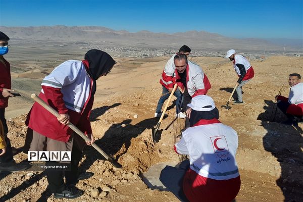 آغاز طرح مردمی کاشت یک میلیارد درخت درسراسر کشور درشهرستان سملقان