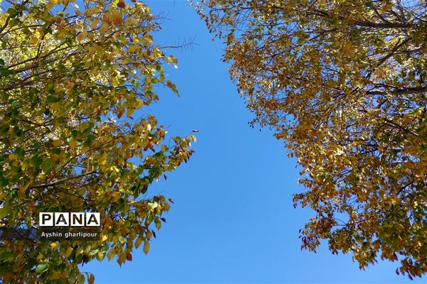 فصل پاییز در شیراز