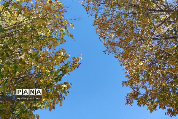فصل پاییز در شیراز