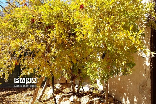 فصل پاییز در شیراز