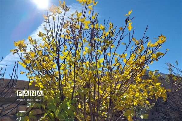 فصل پاییز در شیراز