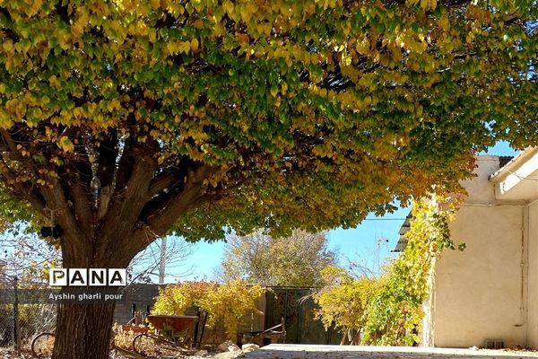 فصل پاییز در شیراز