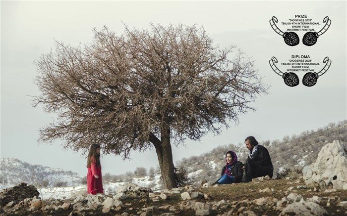 «مرز‌ها نمی‌میرند» برنده جایزه و دیپلم ویژه از جشنواره دیوژن شد