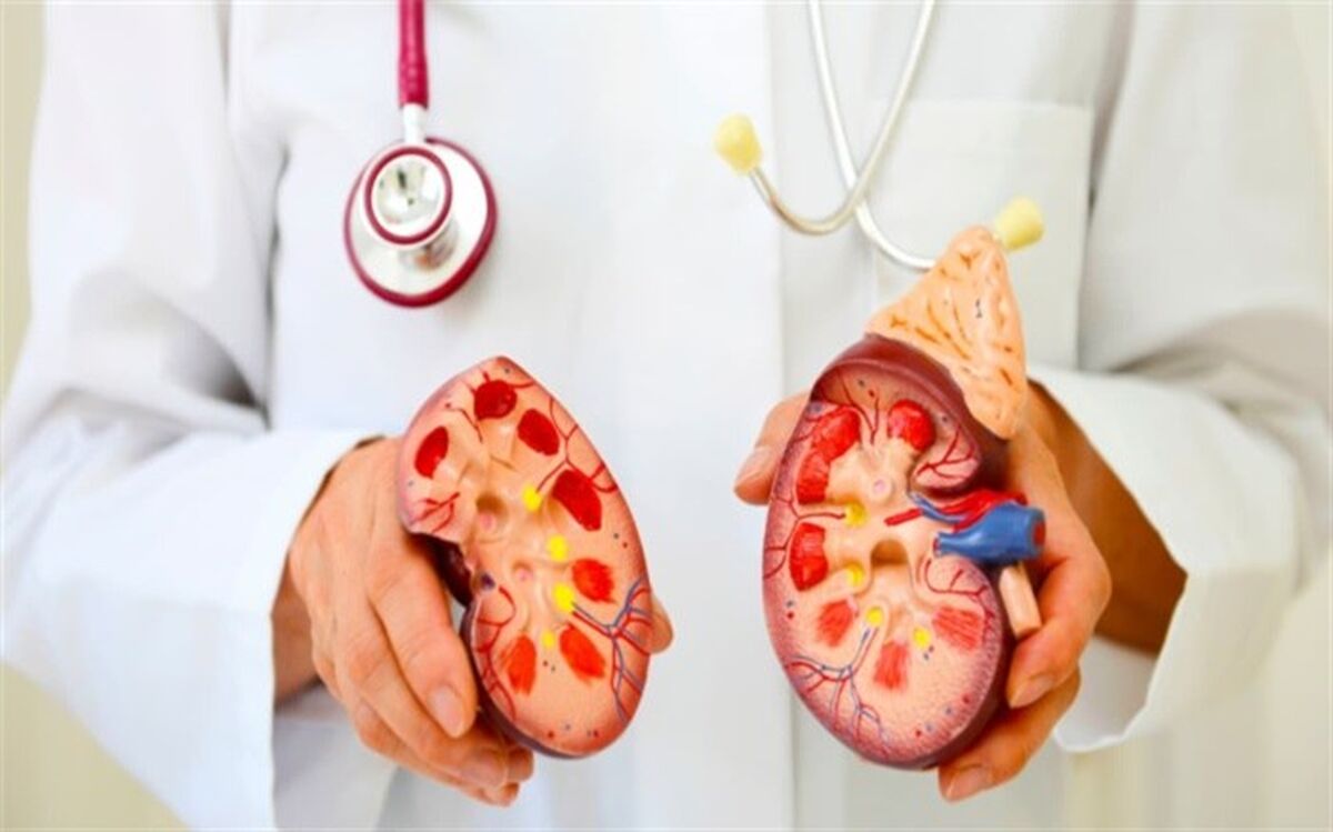 مصرف کم آب یکی از علل اصلی ابتلا به سنگ کلیه