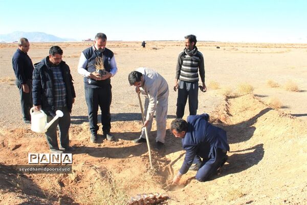 آغاز کاشت نهال تاغ در منطقه ۳۵۰۰ هکتاری غرب ابرکوه