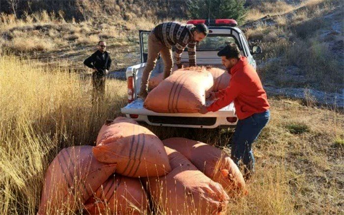 جمع آوری و اهدای بذر گیاهان بومی توسط همیاران طبیعت طالقان