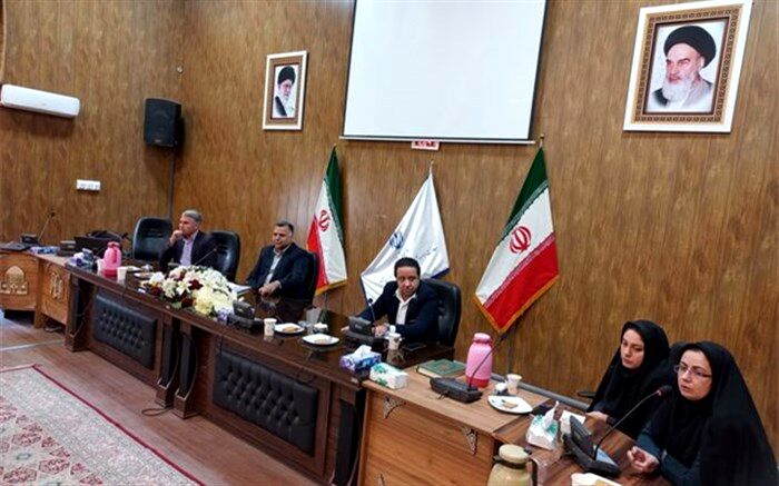 مشکل نیروی انسانی در مشاوره باید به صورت ریشه ای حل شود