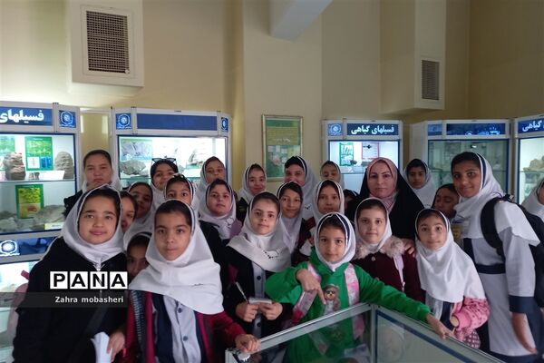 بازدید دانش‌آموزان مدرسه ظریف‌کارفرد از موزه تاریخ طبیعی