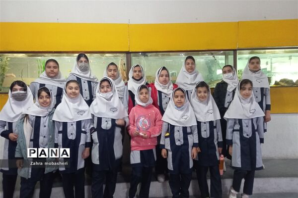 بازدید دانش‌آموزان مدرسه ظریف‌کارفرد از موزه تاریخ طبیعی