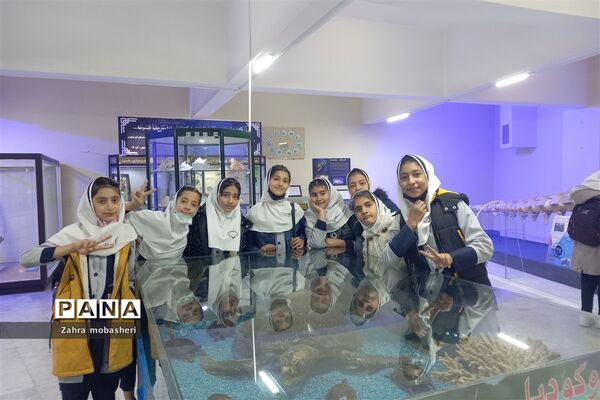بازدید دانش‌آموزان مدرسه ظریف‌کارفرد از موزه تاریخ طبیعی