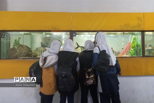 بازدید دانش‌آموزان مدرسه ظریف‌کارفرد از موزه تاریخ طبیعی