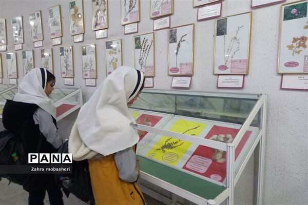 بازدید دانش‌آموزان مدرسه ظریف‌کارفرد از موزه تاریخ طبیعی