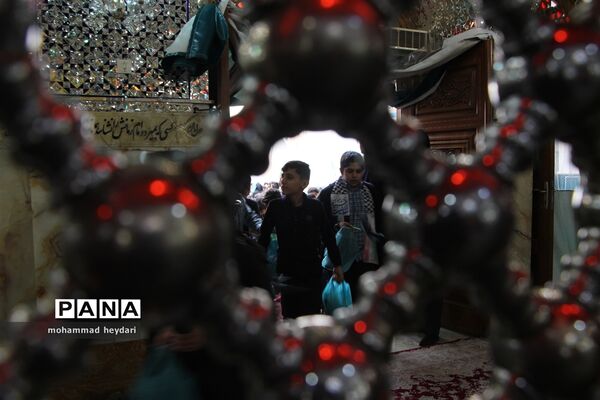 مراسم عزاداری نوگلان فاطمی