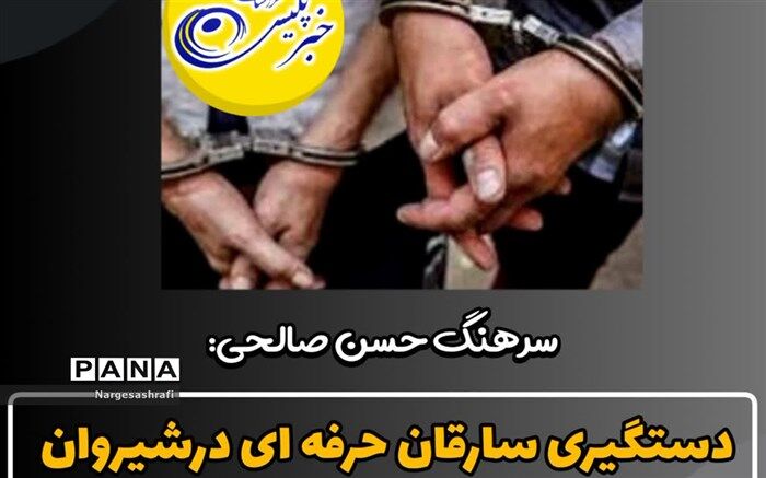 سارقان باند حرفه ای در شیروان دستگیر شدند