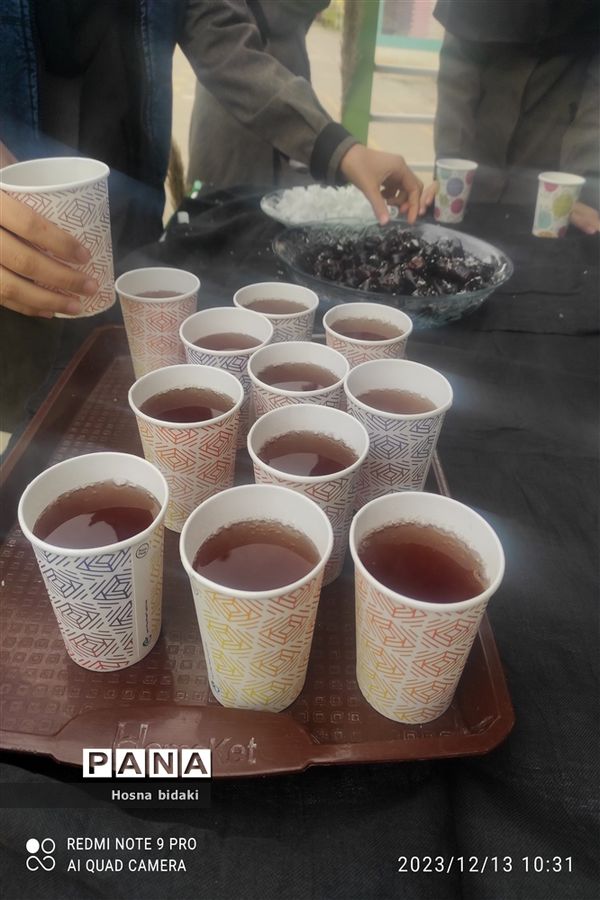 برگزاری موکب به‌مناسبت دهه فاطمیه در شهرستان مانه و سملقان‌