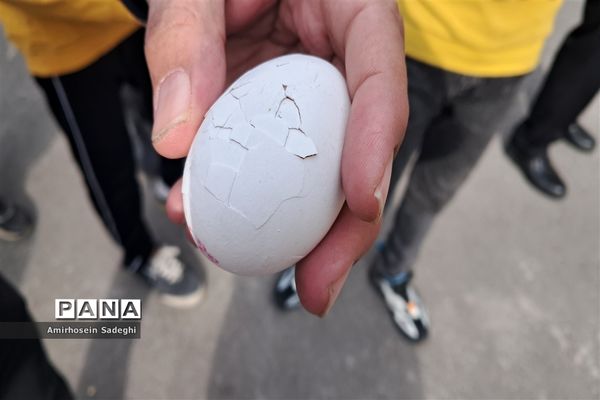 مسابقات جهانی نجات تخم مرغ در مدرسه نمونه دولتی البرز شهریار