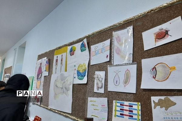 نمایشگاه زیست شناسی در مدرسه مریم عذرا دماوند