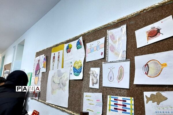 نمایشگاه زیست شناسی در مدرسه مریم عذرا دماوند