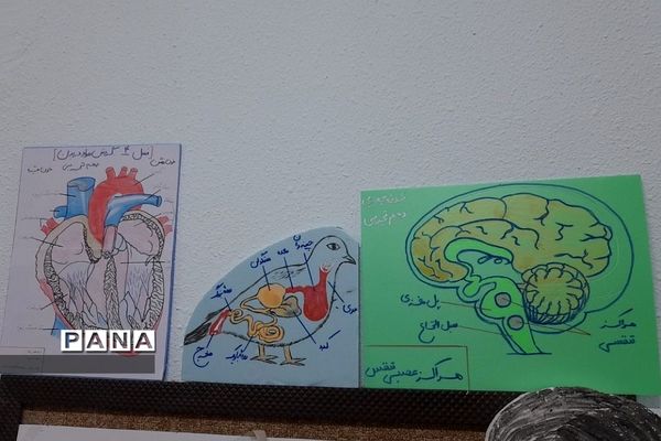 نمایشگاه زیست شناسی در مدرسه مریم عذرا دماوند