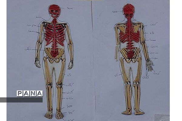 نمایشگاه زیست شناسی در مدرسه مریم عذرا دماوند