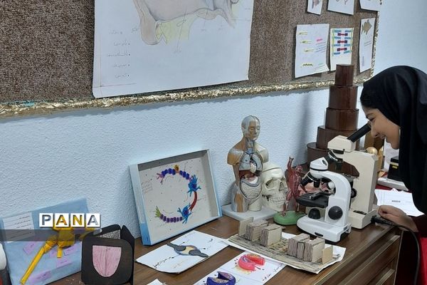 نمایشگاه زیست شناسی در مدرسه مریم عذرا دماوند