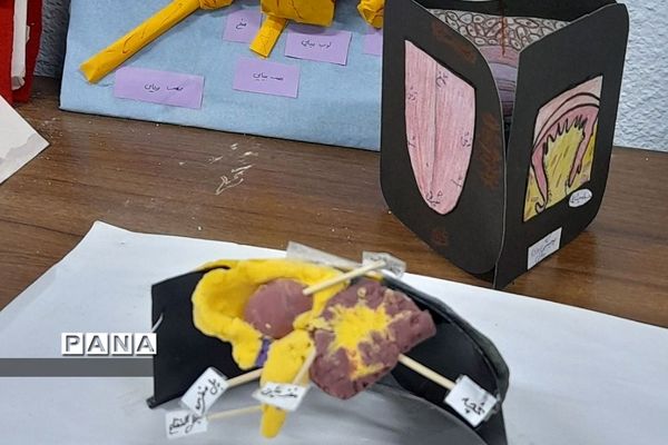 نمایشگاه زیست شناسی در مدرسه مریم عذرا دماوند