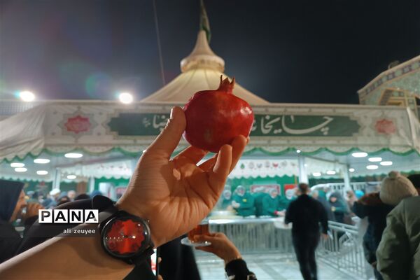 یلدای امام رضایی