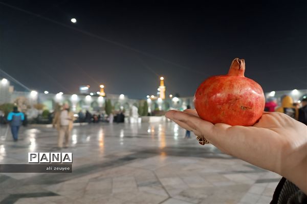 یلدای امام رضایی