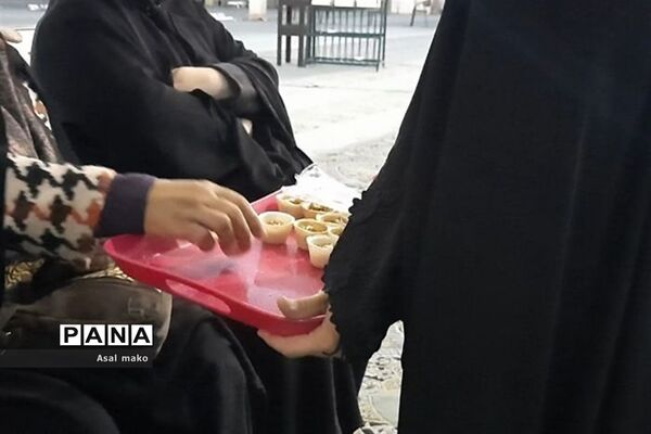 عزاداری وفات حضرت ام البنین(س) در پاکدشت